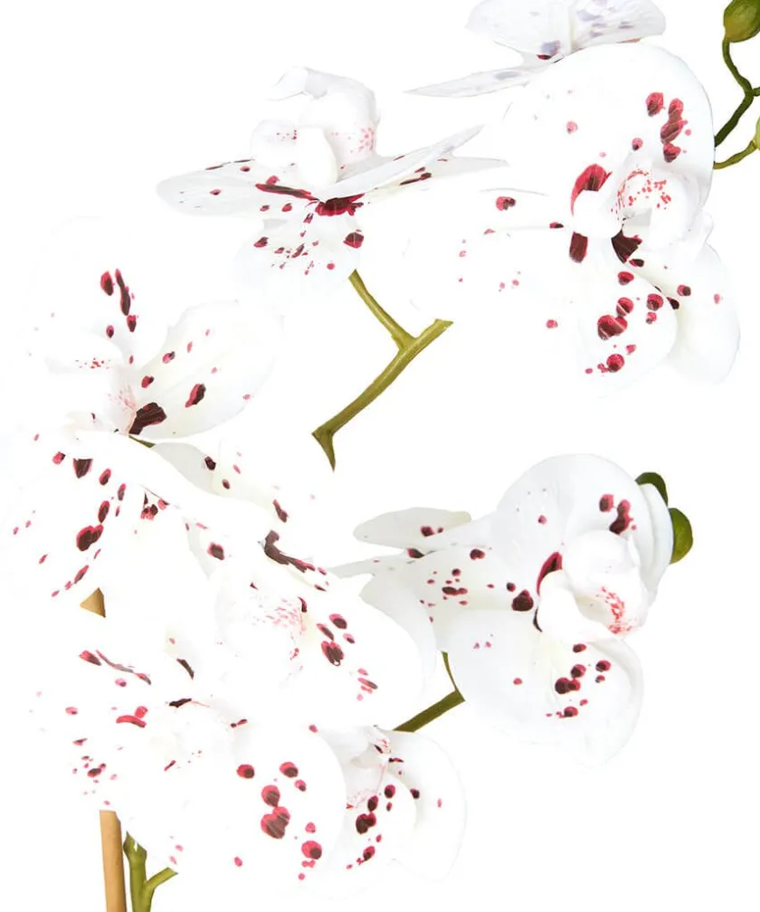 Joe Browns Blooming Marvellous Speckled Orchid- Artificial Plants|Floral Décor