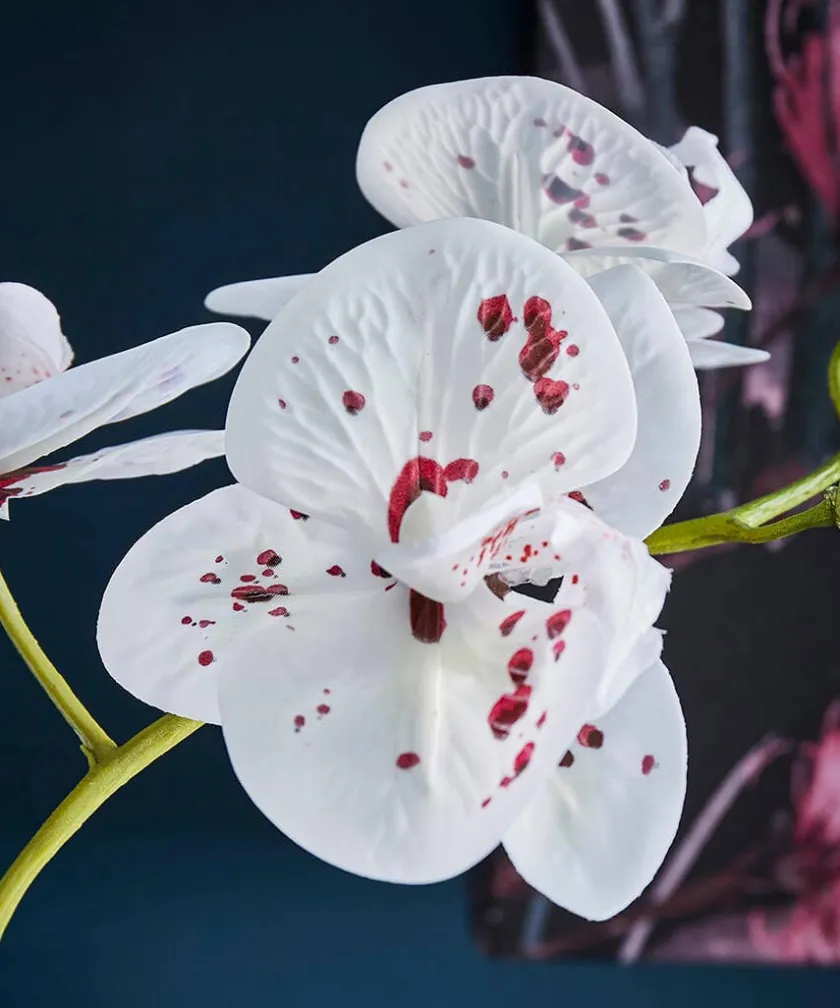 Joe Browns Blooming Marvellous Speckled Orchid- Artificial Plants|Floral Décor