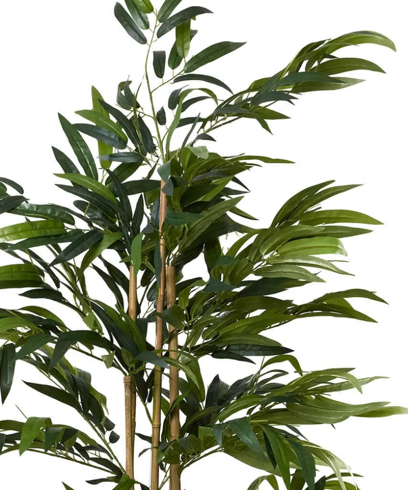 Joe Browns Brilliant Bamboo Plant- Artificial Plants|Floral Décor