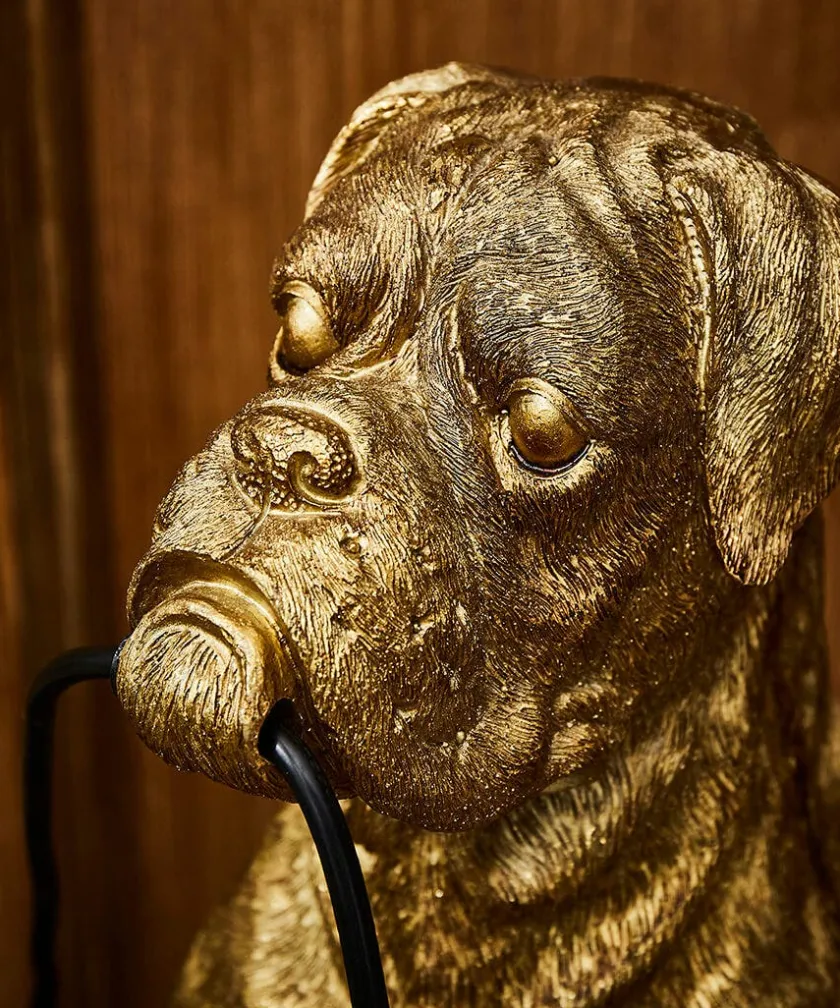 Joe Browns Brilliant Boxer Table Lamp- Lighting & Lamps|Animal Décor