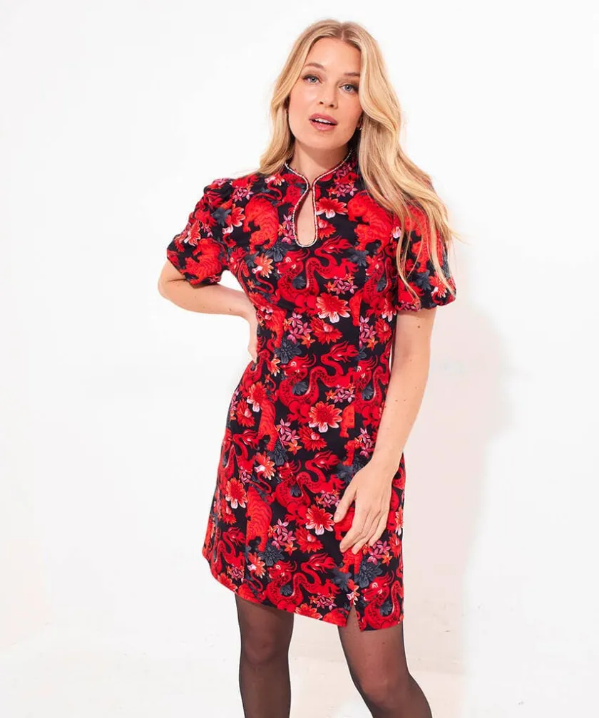 Joe Browns Dazzling Dragon Dress-Women Women's Clothing|Dresses