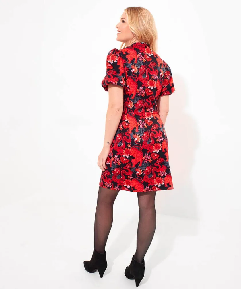 Joe Browns Dazzling Dragon Dress-Women Women's Clothing|Dresses