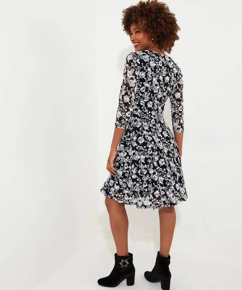 Joe Browns Favourite Zip Lace Dress-Women Petite Collection|Dresses