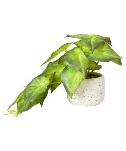Joe Browns Luscious ery In Speckled Ceramic Pots- Artificial Plants|Floral Décor