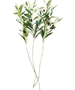 Joe Browns Oh So Lovely Olive Branches (Pack Of 3)- Artificial Plants|Floral Décor