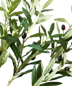 Joe Browns Oh So Lovely Olive Branches (Pack Of 3)- Artificial Plants|Floral Décor