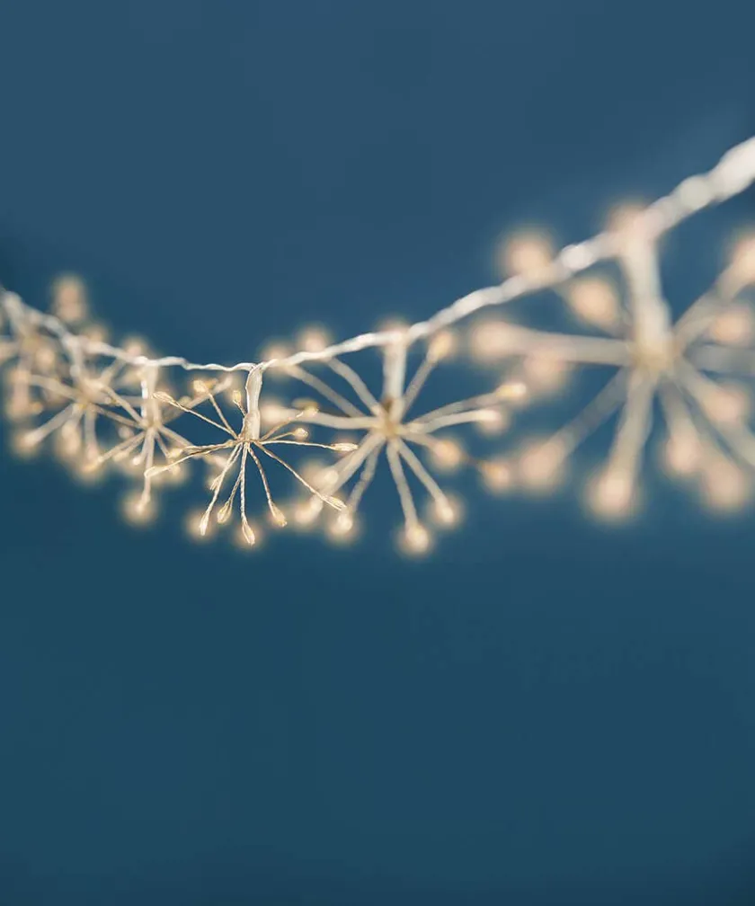 Joe Browns Sparkling Starburst Fairy Lights- Lighting & Lamps|Floral Décor