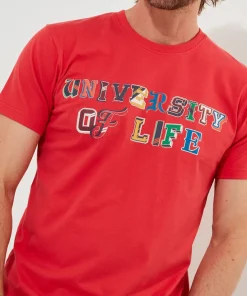 Joe Browns University Of Life Tee- T-Shirts & Tops
