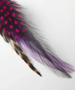 Joe Browns Vibrant Feather Pin- Tailoring|Gifts